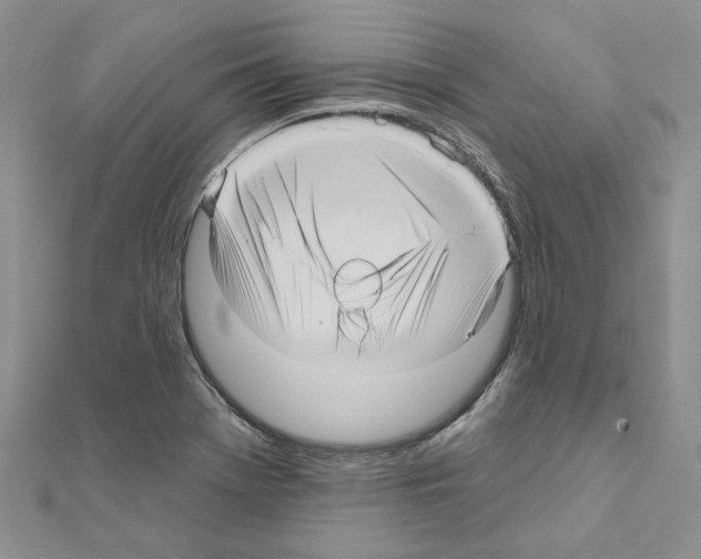 X0000111641369200908281147