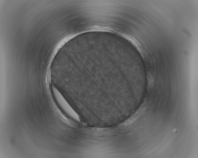 X0000111641371200908281147