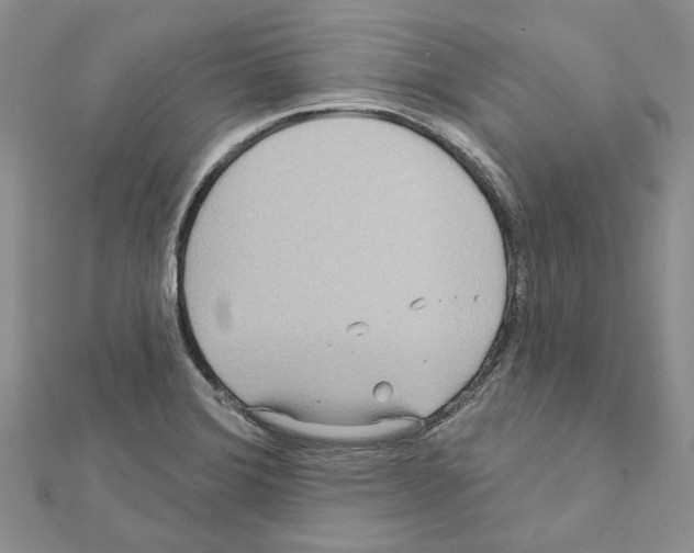 X0000111641372200908281147