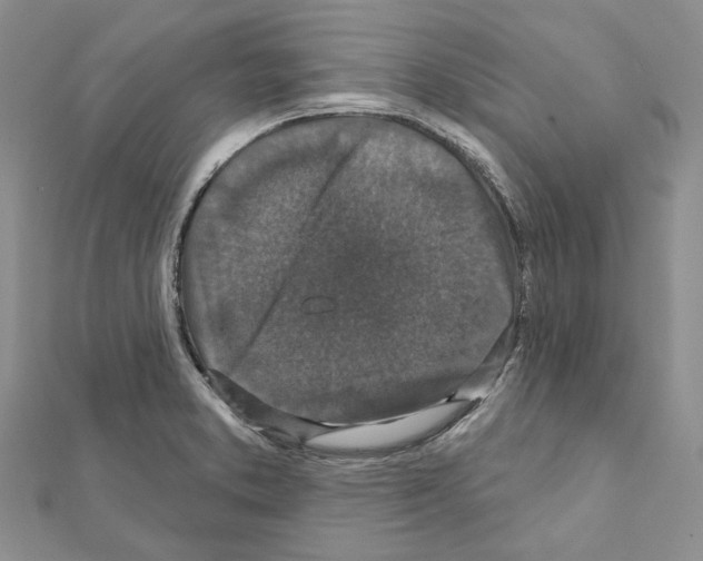 X0000111641373200908281147