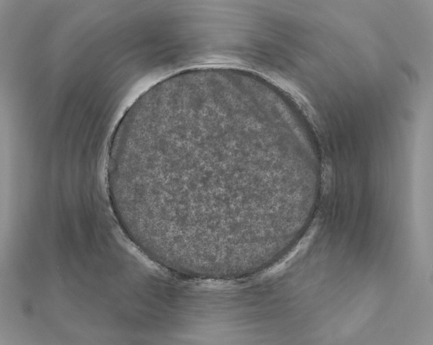 X0000111641374200908281147