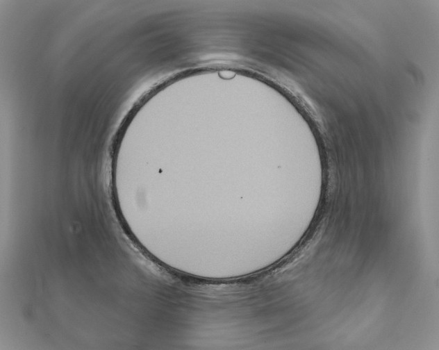 X0000111641376200908281147
