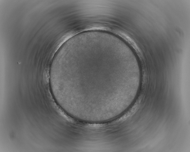 X0000111641377200908281147