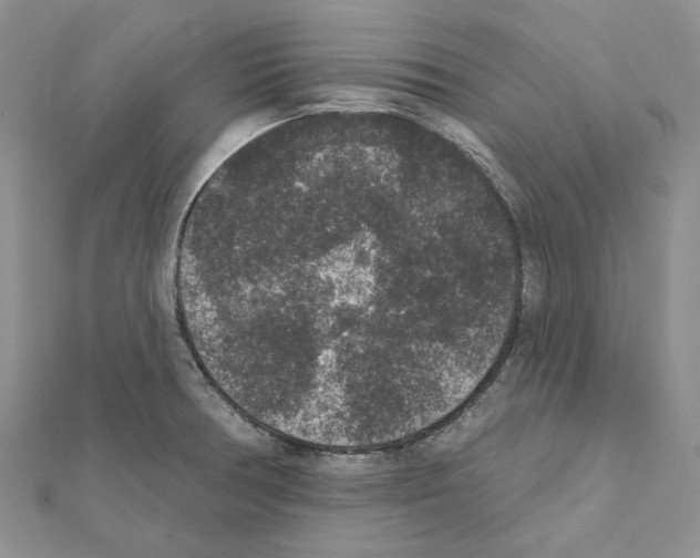 X0000111641378200908281147