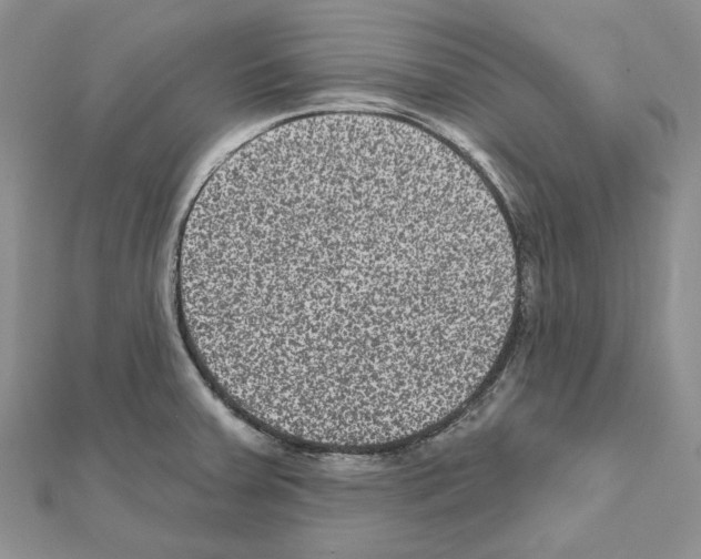 X0000111641379200908281147