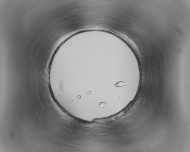 X0000111641380200908281147