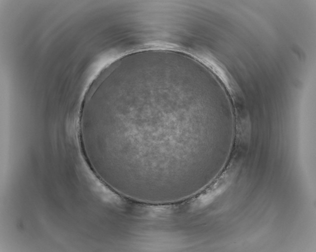 X0000111641381200908281147