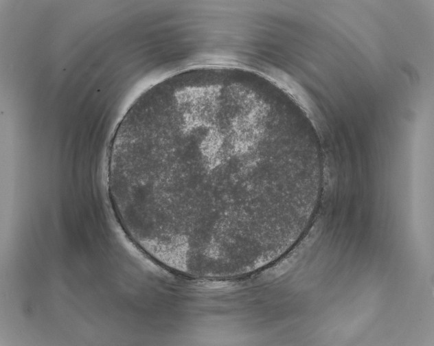 X0000111641382200908281147