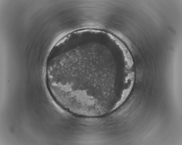 X0000111641383200908281147