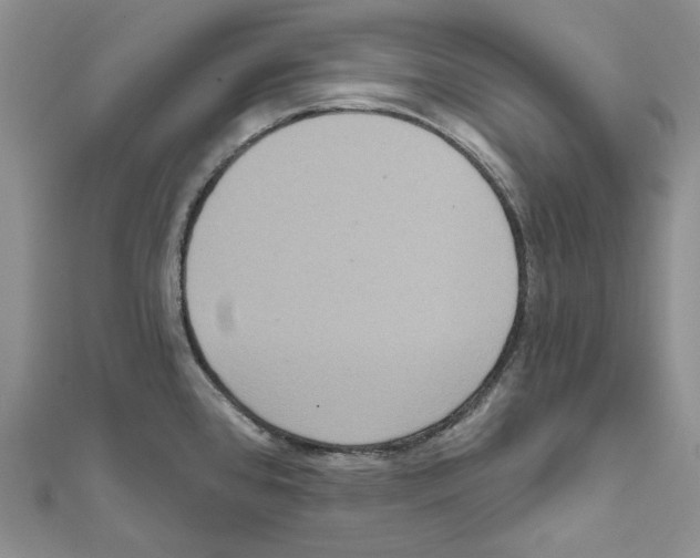 X0000111641384200908281147