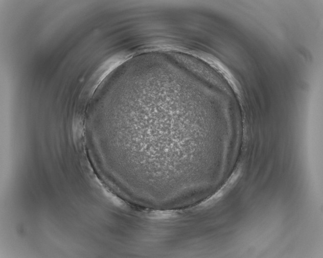 X0000111641385200908281147