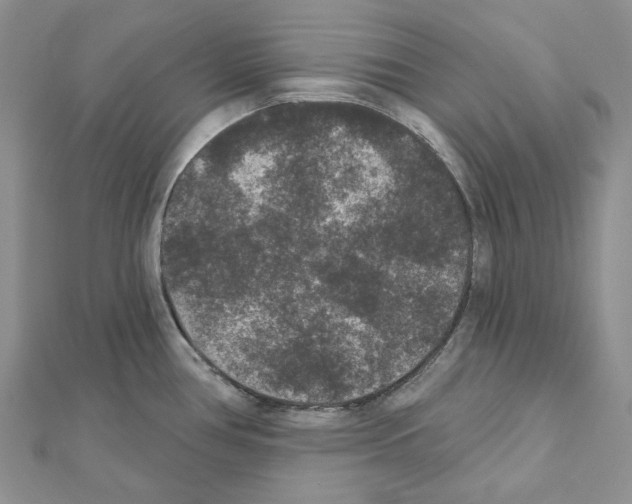 X0000111641386200908281147
