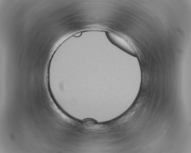 X0000111641387200908281147