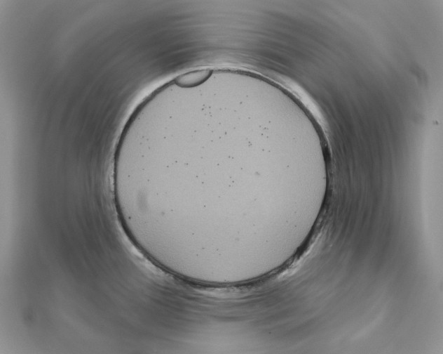 X0000111641388200908281147