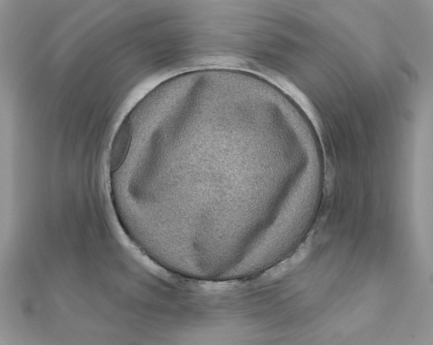 X0000111641389200908281147