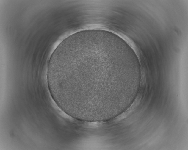 X0000111641390200908281147