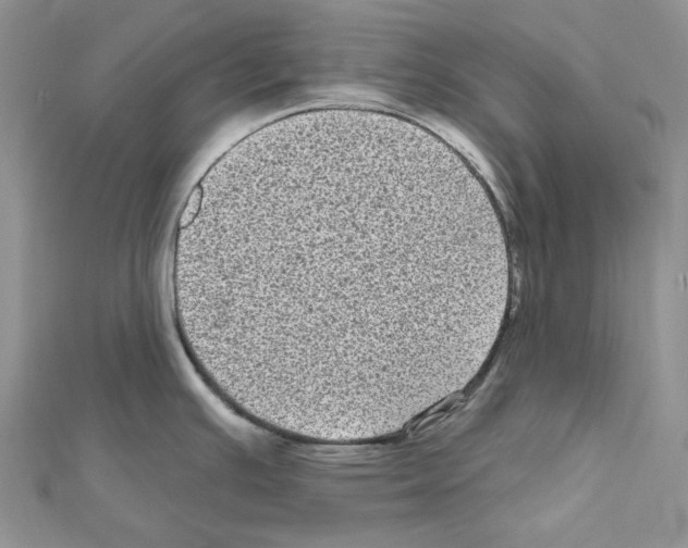 X0000111641391200908281147