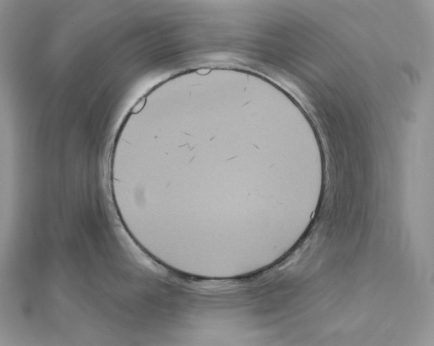X0000111641392200908281147