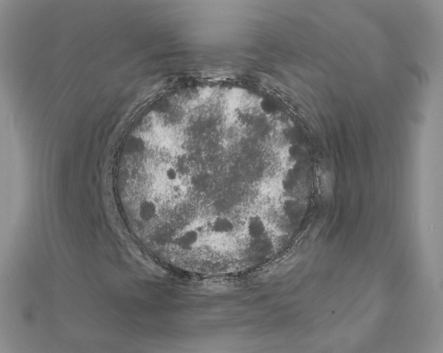 X0000111641393200908281146