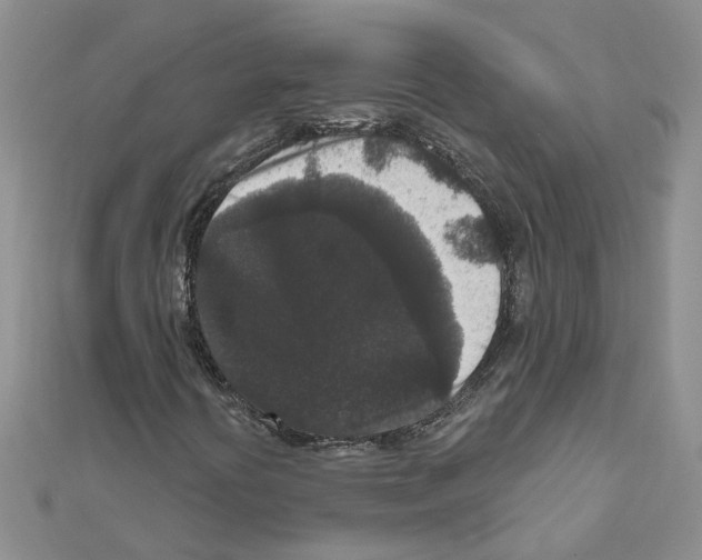 X0000111641394200908281146