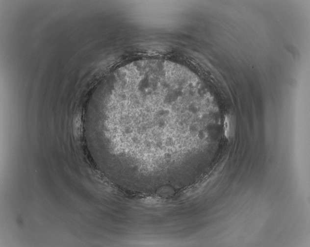 X0000111641395200908281146