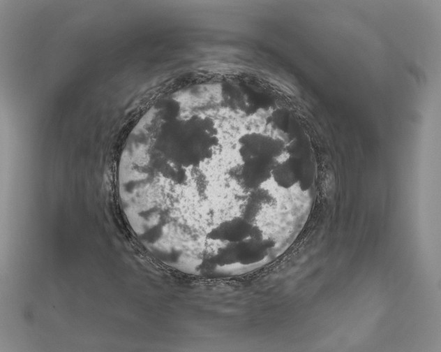 X0000111641397200908281146