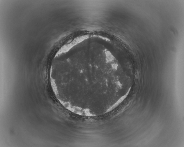 X0000111641398200908281147