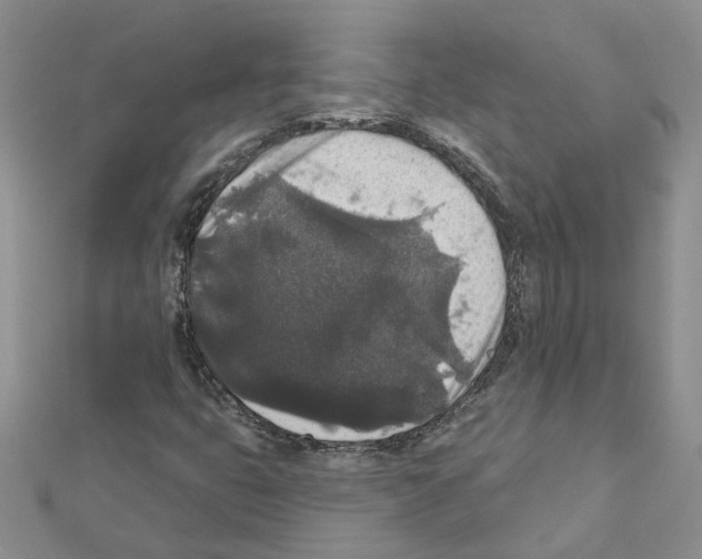 X0000111641399200908281147