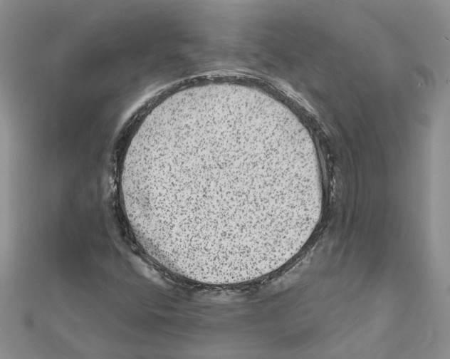 X0000111641400200908281147