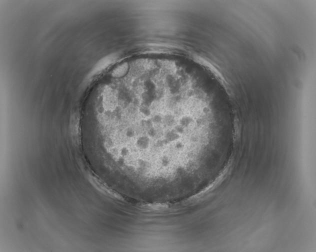 X0000111641403200908281147