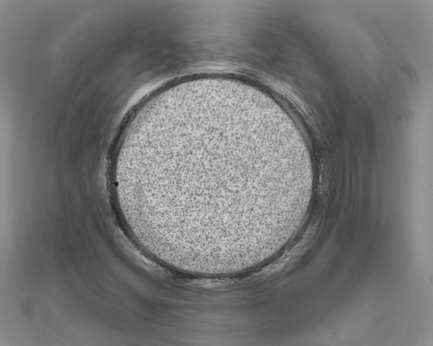 X0000111641404200908281147