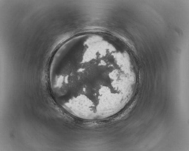 X0000111641405200908281147