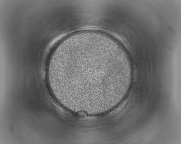 X0000111641406200908281147