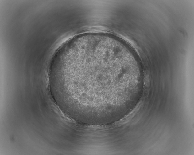 X0000111641407200908281147