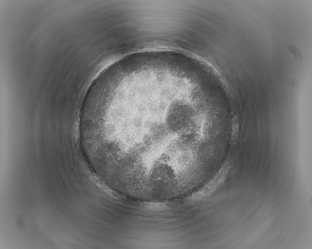 X0000111641409200908281147
