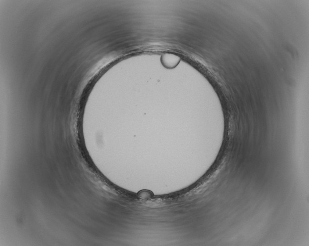 X0000111641410200908281147