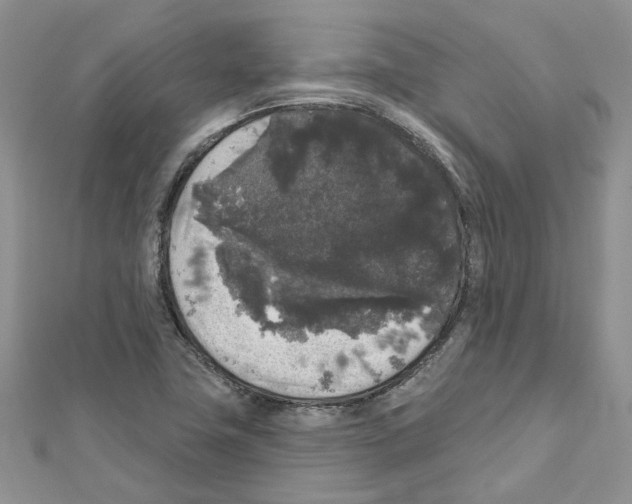 X0000111641411200908281147
