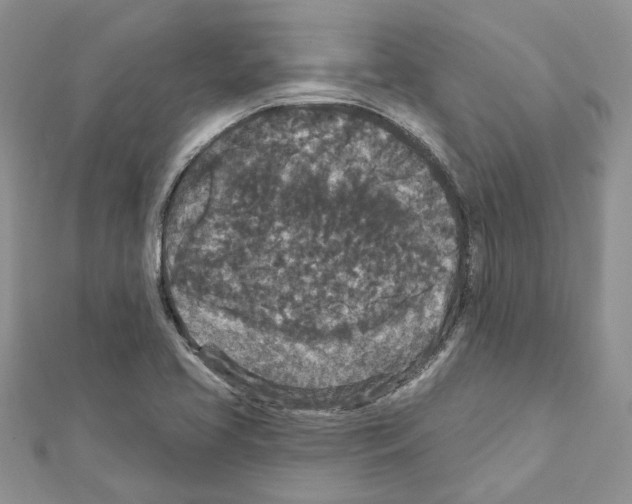 X0000111641413200908281147