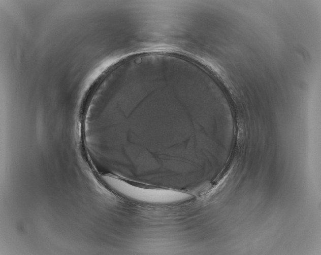 X0000111641414200908281147