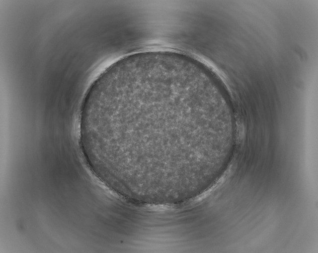 X0000111641415200908281147