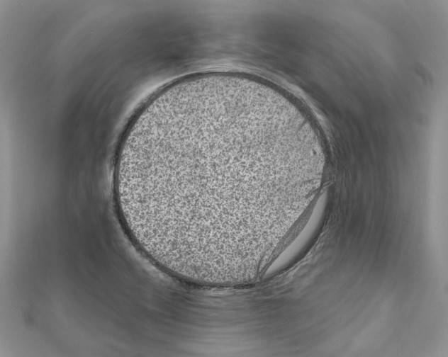 X0000111641416200908281147