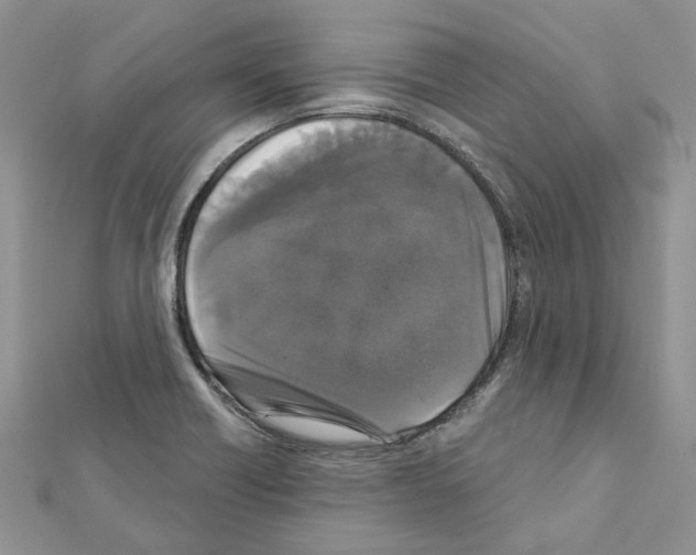 X0000111641418200908281147