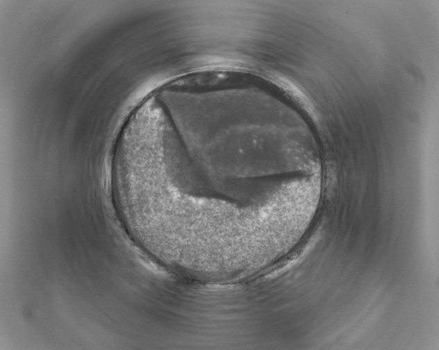 X0000111641419200908281147