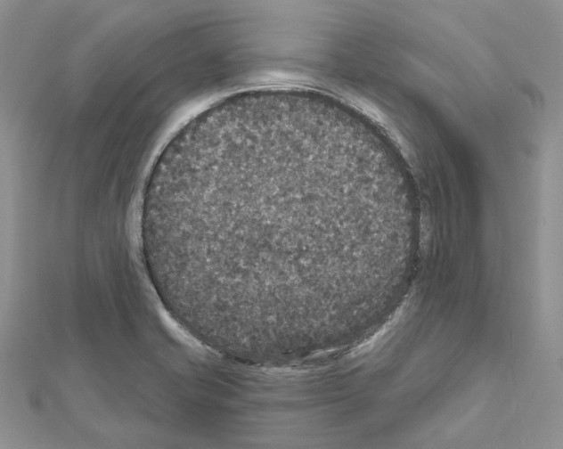 X0000111641421200908281147