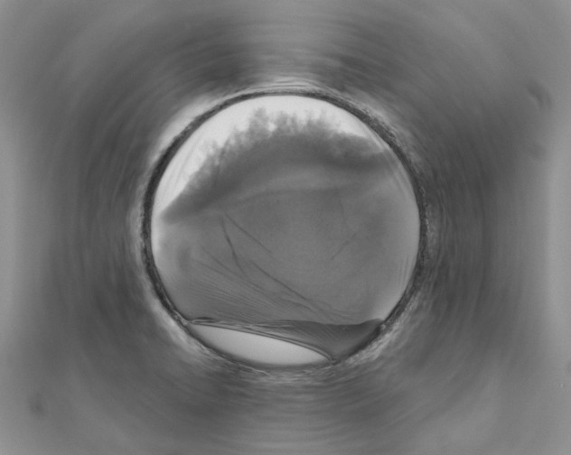 X0000111641422200908281147