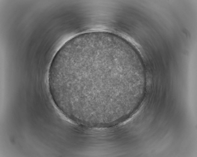 X0000111641423200908281147