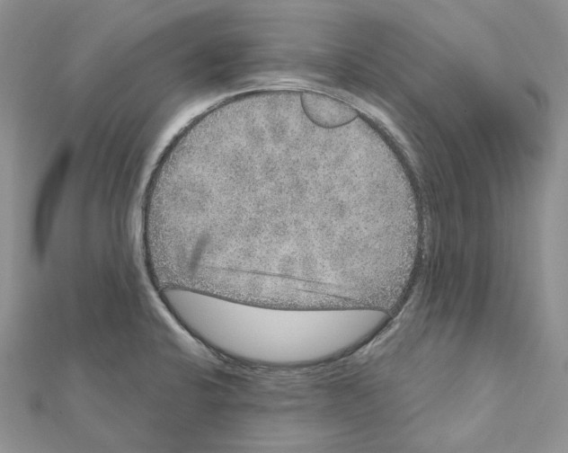 X0000111641424200908281147
