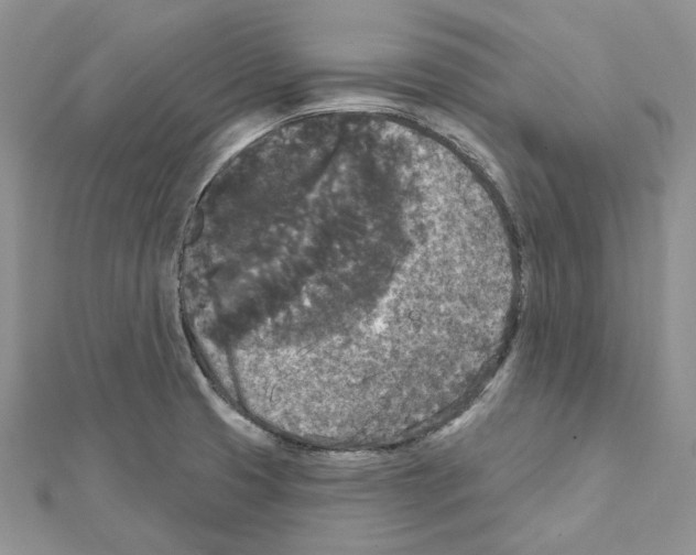 X0000111641425200908281147