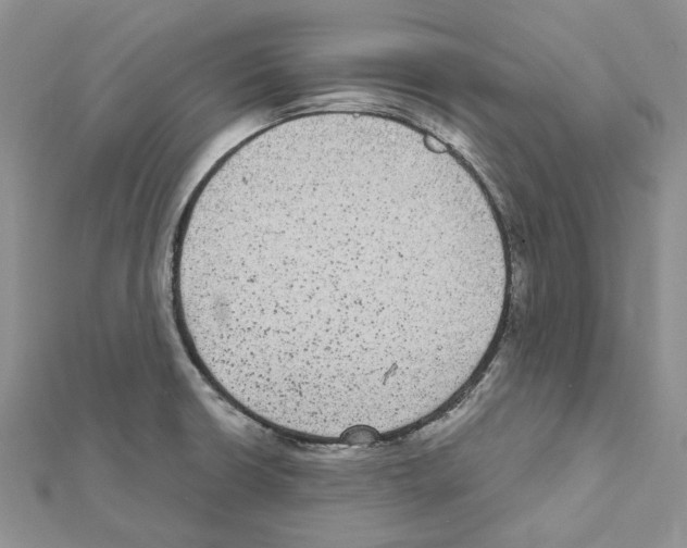 X0000111641426200908281147