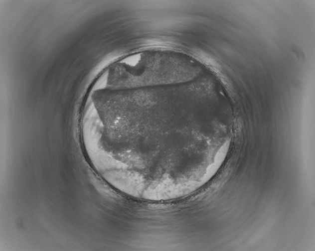 X0000111641427200908281147